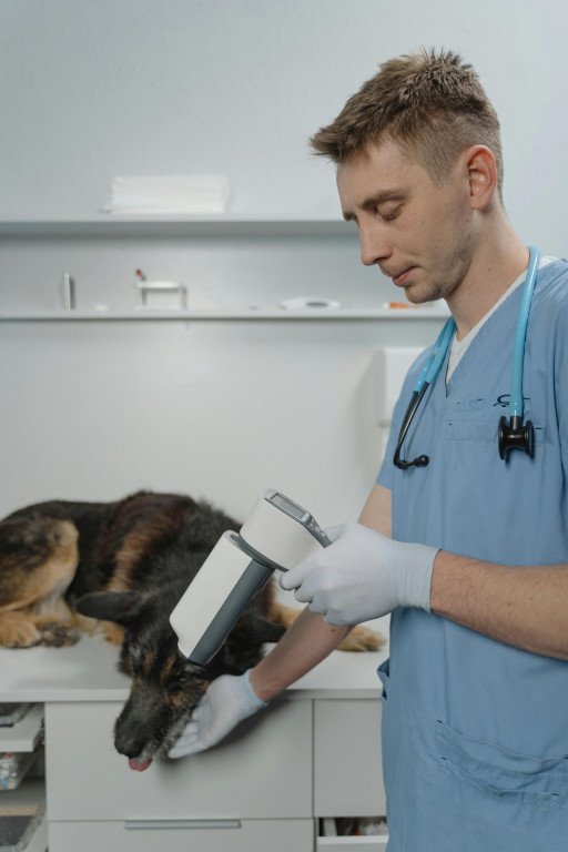 Enhancing Pet Care with Advanced Tech Solutions